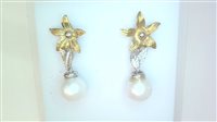 Ohrringe Sommer Dame Perla in Gold Perla PENDENTI PERLE SOMMER - PENDENTI PERLE SOMMER